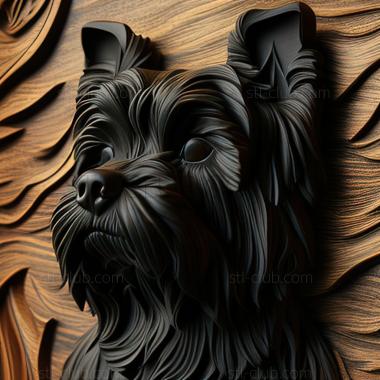 3D model st Affenpinscher dog (STL)